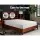 Giselle Bedding Single Electric Blanket - Fleecy Wool, 9 Heat Settings, LED Control, Washable, 1-Year Warranty