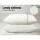 Giselle Bedding Memory Foam Pillow 13cm Thick Twin Pack with Shredded Viscoelastic Core
