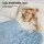 Giselle Bedding King Size Tencel Quilt - 200GSM Lightweight, Moisture-Wicking Summer Comforter, OEKO-TEX Certified, Blue