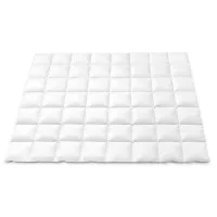 Giselle Bedding 800GSM Double Goose Down Feather Quilt - Winter Comforter with 100% Cotton Cover, Mite Resistant