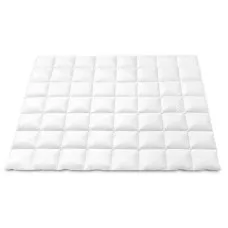 Giselle Bedding 800GSM Double Goose Down Feather Quilt - Winter Comforter with 100% Cotton Cover, Mite Resistant