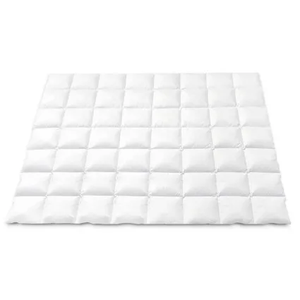 Giselle Bedding 800GSM Double Goose Down Feather Quilt - Winter Comforter with 100% Cotton Cover, Mite Resistant