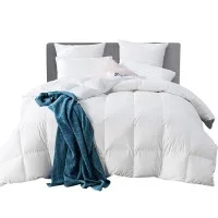 Giselle Bedding 500GSM Goose Down Feather Quilt Queen Size – 100% Cotton Cover, Winter Warmth, Breathable, White
