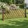 Gardeon Expandable Wooden Trellis Garden Fence 160cm Plant Frame Brown Outdoor Screen