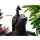 Gardeon Solar-Powered 3-Tier Bird Bath Fountain with Pump Kit, 106CM Polyresin Peacock Design, All-Weather Durable