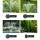 Gardeon Solar Outdoor Fountain Pump Kit - 6.1FT, 440L/H Flow, Durable DC Brushless, Adjustable Height, 4 Nozzle Options