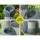 Gardeon Solar Water Feature Fountain 3-Tier Pots, LED Lights, Polyresin, 76CM, Indoor/Outdoor, Energy Efficient