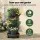 Green Fingers 5-Tier Vertical Garden Planter with Wheels and Auto Drainage System Black Raised Garden Bed