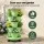 Green Fingers 5-Tier Vertical Garden Planter with Wheels and Auto Drainage System Light Green Indoor Outdoor