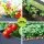 Green Fingers 100x40x80cm Raised Garden Bed - Galvanised Steel, Mobile with Wheels, Storage Shelf for Herbs & Vegetables