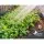 Green Fingers 2x Galvanised Steel Raised Garden Bed - 130x130x46cm, Rustproof Planter Box with Rounded Safety Edges