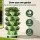 Green Fingers 5 Tier Vertical Garden Bed - Light Green, Stackable, with Drainage & Movable Casters for Urban Gardening