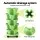 Green Fingers 5 Tier Vertical Garden Bed - Light Green, Stackable, with Drainage & Movable Casters for Urban Gardening