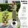 Green Fingers 5-Tier Vertical Garden Bed, Beige - Stackable Planters with Automatic Drainage, 35x35x75cm, Mobile Casters