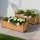 2x Green Fingers Raised Garden Bed 90x30x33cm Fir Wood Planter Box, Elevated Container for Flowers & Veggies