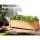 2x Green Fingers Raised Garden Bed 90x30x33cm Fir Wood Planter Box, Elevated Container for Flowers & Veggies