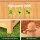 Green Fingers 2X Fir Wood Garden Bed 64x35x115cm with Trellis | Raised Planter Box for Vegetables & Flowers