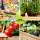 Greenfingers 120x60x80cm Elevated Wooden Garden Bed - Durable Fir Wood Planter Box with Liner, Easy Assembly