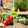 Green Fingers 2x Raised Garden Bed 120x60x80cm - Sturdy Fir Wood, Elevated Planter Box for Vegetables & Flowers