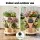 Green Fingers 3 Tier Stackable Vertical Planter Tower with Wheels Beige Self Watering Strawberry Pot