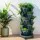 Greenfingers 5 Tier Stackable Garden Bed - Plastic Planters with Auto Drainage & Casters for Indoor/Outdoor Use
