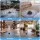 Gardeon Ultrasonic Rat Repeller 360 Degree 4 Modes 25kHz-65kHz USB Type-C Black Indoor Pest Repeller