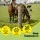 Giantz 100pcs Electric Fence Ring Insulators - High-Strength UV-Resistant Black PP, 25cm for Wire, Polywire, Rope