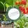Green Fingers Mini Greenhouse Tunnel 300x45x30cm - Clear PVC & Steel Frame for Frost Protection & Healthy Plant Growth