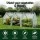 Green Fingers Mini Greenhouse 240x90x90cm - Sturdy Steel Frame & Weather-Resistant PE Cover for Year-Round Plant Growth
