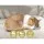 Gardeon Cream Hammock Chair with Armrests – Durable Polyester Cotton, 120kg Capacity, Timber Rail, Indoor/Outdoor Use
