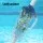 Aqua Buddy Pool Leaf Canister Cleaner - Heavy-Duty PVC, Easy-Clean, Universal Fit, 15x15x44cm, 1-Year Warranty