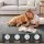 Artiss Tatami Mat 200 x 200cm 3cm High Density Foam Floor Mattress Coral Velvet Anti‑Slip Grey All‑Season