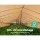 Instahut 70% UV Block Shade Cloth, 1.83x50m Heavy Duty Beige, UV-Stabilised HPDE, Tear-Resistant, Ideal for Gardens