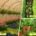Instahut 90% Shade Cloth 1.83x30m - UV-Stabilised Beige HDPE Fabric for Garden Protection & Greenhouse Use