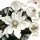Jingle Jollys 14Pcs White Poinsettia Xmas Flowers Set – 25cm Lifelike Polyester Blooms for Trees, Garlands & Wreaths