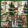 Jingle Jollys Paper Christmas Tree 61cm Green Foldable Honeycomb Decor Set with Star Topper for Tabletop Display