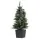 Jingle Jollys 90cm Potted Christmas Tree with Warm White LED Lights, PVC Tips, Bucket Base, Non-Toxic Material