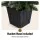 Jingle Jollys 90cm Potted Christmas Tree with Warm White LED Lights, PVC Tips, Bucket Base, Non-Toxic Material