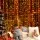 Jingle Jollys 3x6M Christmas Curtain Lights, 600 Warm White LEDs, 8 Modes, Water Resistant, Indoor Outdoor Decor