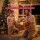 Jingle Jollys Christmas Inflatable Pole 174cm LED Outdoor Decoration Water-Resistant UV Safe 12V Lights