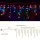 Jingle Jollys 12.5M Solar Icicle String Lights, Multi-Colour LED, 8 Modes, Water Resistant, Outdoor/Indoor Decor