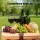Alfresco 2-Person Willow Picnic Basket Set with Insulated Cooler, Plates, and Cutlery - Perfect for Outdoor Fun