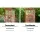 i.Pet Large Wooden Bird Cage 72x60x168cm - Weather-Resistant Aviary for Parrots & Canaries with Perches & Slide-out Tray
