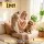 i.Pet 5L Automatic Pet Feeder Dual Bowl 2.4GHz/5GHz Wi-Fi App Control 10 Meals Voice Recorder White