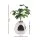 i.Pet Cat Litter Box Enclosure Hidden Planter Furniture House White Egg-Shaped Easy-Clean PP Design