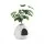 i.Pet Cat Litter Box Enclosure Hidden Planter Furniture House White Egg-Shaped Easy-Clean PP Design