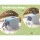 i.Pet Large Enclosed Foldable Cat Litter Box with Scoop, Double Door Design, Ventilation, 48.5x38.5x38.5cm, Blue