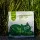 Purr Haven Plant Based Clumping Tapioca Cat Litter with Seaweed Extract 30kg 12 Pack Dust Free Odour Control