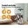 i.Pet Cassey Cat Tree 103cm - Grey Velvet Condo with Sisal Scratching Posts, Activity Ball, Ladder & Multi-Level Fun