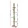 i.Pet Floor-to-Ceiling Cat Tree Tower, 290cm, Adjustable, Sisal Posts, 5 Levels, Space-Saving Design, Green/Brown